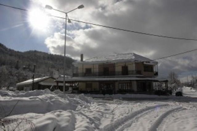 Villa Rosa Antartiko Eksteriør billede